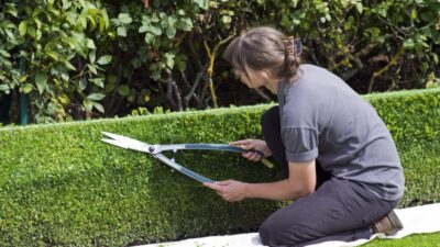 Jardin et plantation en limite de propriété, quel droit pour le voisin ?