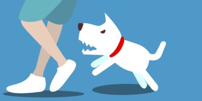 Sommes-nous responsable de notre animal ?