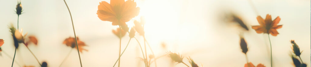 Maître Nina LARGERON - Cabinet Naka Lex avocat Droit du travail Saint-Étienne