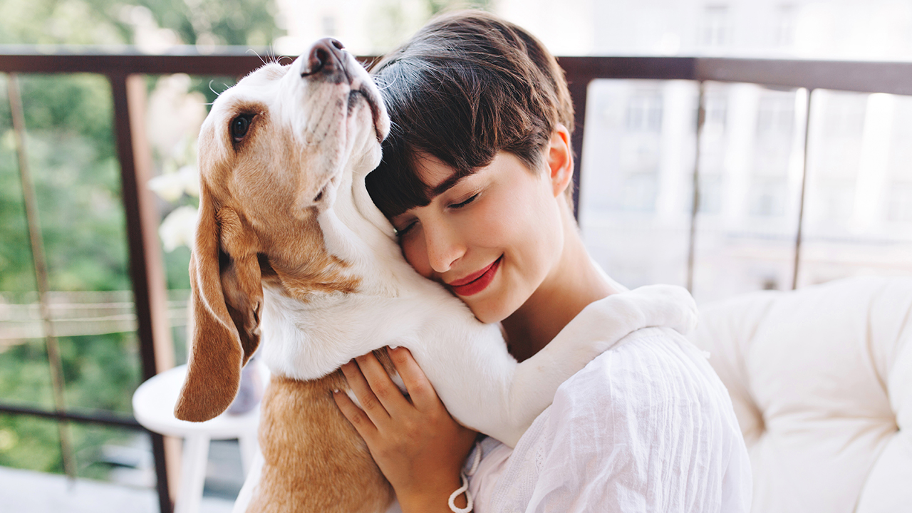 Guide Des Droits Des Animaux De Compagnie Justifit Fr