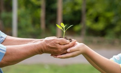 Droit de l’environnement – Les principaux domaines d’intervention