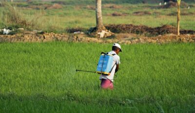 Les Pesticides : quelles réglementations encadrent leurs usages ?