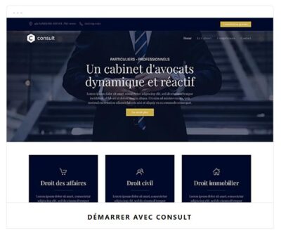 template pour avocat - ipaoo